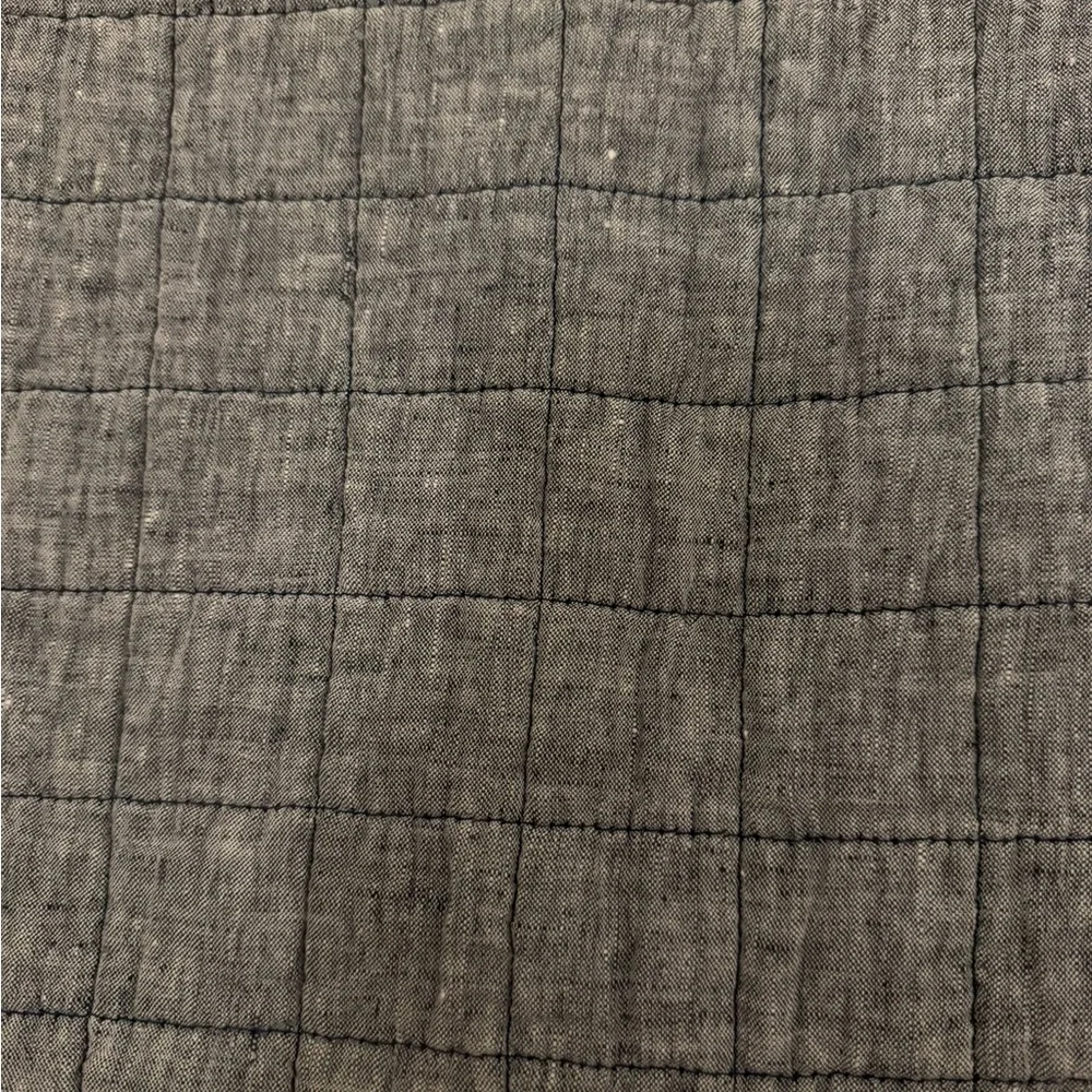 Crate and Barrel standard shams pair
